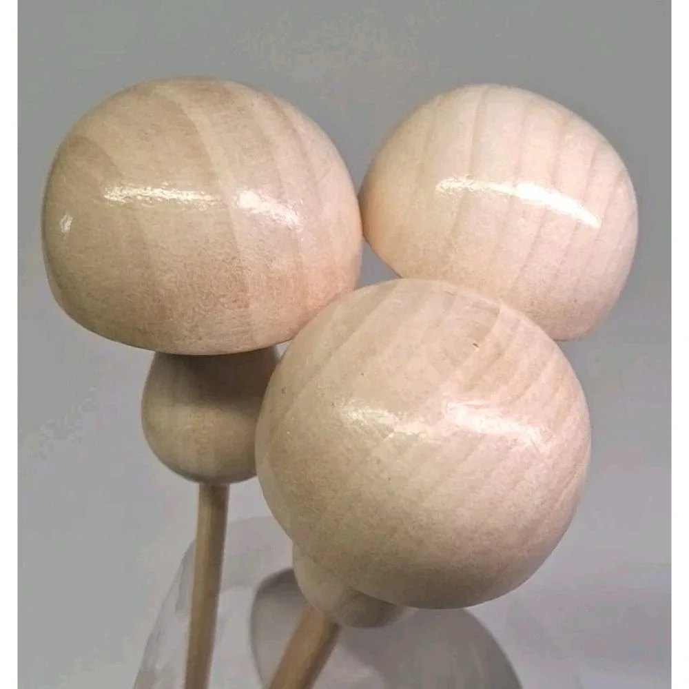 Garden Collection by Second Nature mushrooms are